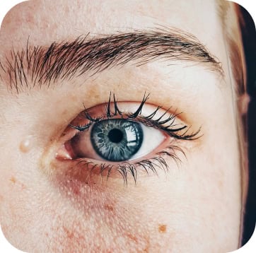 identity verification. Eye